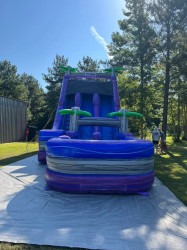 FB IMG 1743883354961 1768588505 22 FT Purple Paradise